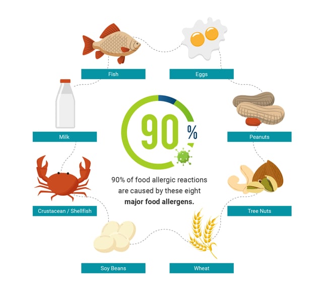 Asthma and Allergy Awareness -_Inforgraphics 2