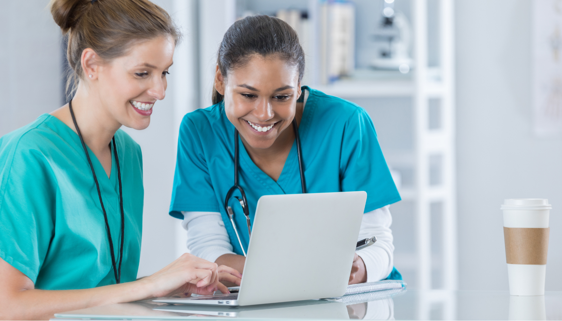 Nurses looking through EHR in the system. 