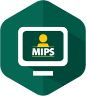 MIPS Challenge 2020_MIPS Logo