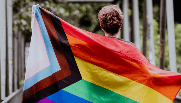 Telemedicine Software: Expanding Healthcare Access For LGBTQ Patients