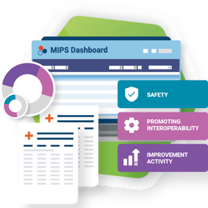 Updated Reports for MIPS 2024-